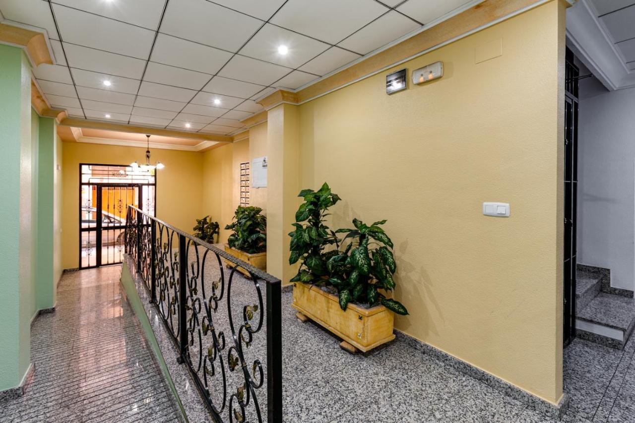 Apartment Amalia On The